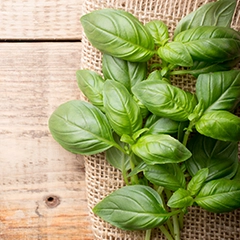 basilic pour recette à l'ail noir